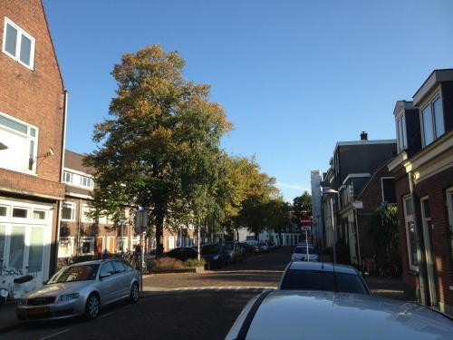 Hello B&B Utrecht