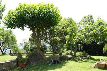 Bed & Breakfast La Casetta Nel Bosco