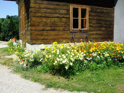 Apartamento Ferienwohnungen Bauernhof Schilcher