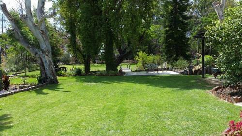 Bed & Breakfast Rothwood Homestays