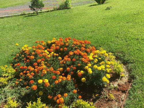 Hostal Pousada Flores Do Campo