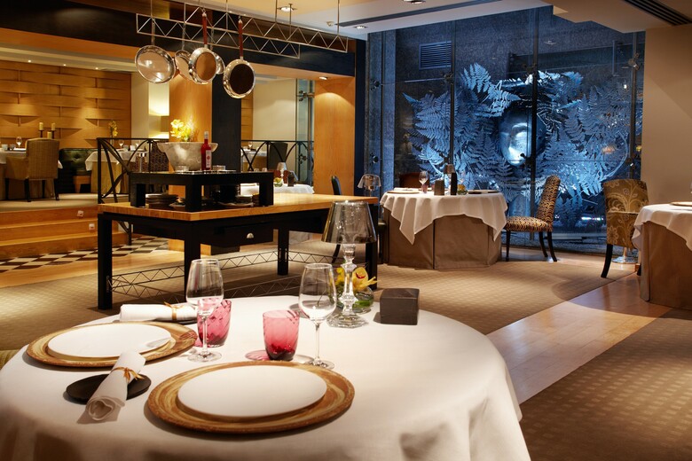 Hotel Hyatt Regency Hesperia Madrid