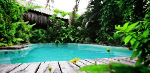 Hostal Barefoot In Barra