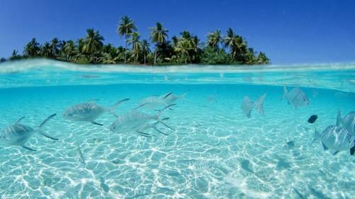 Apartamento Blue Water White Sand Gentle Breeze