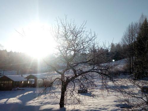 Hotel-pension "zum Ochsenkopf"