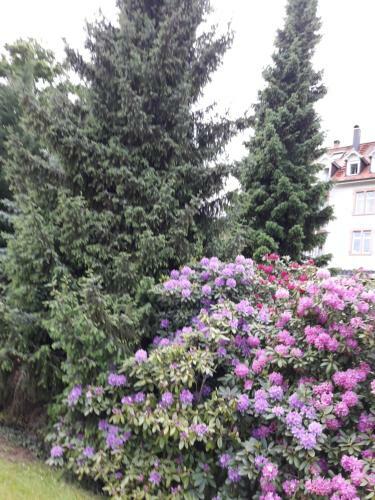 Apartamento At The Turgenev Villa