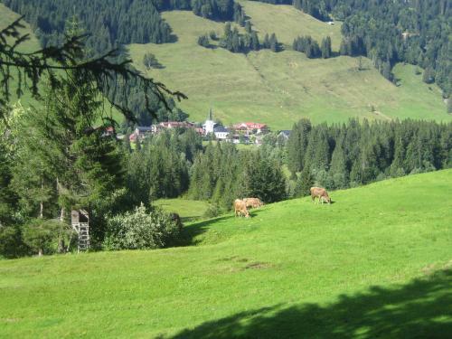 Kienle - Das Kr�uterhotel