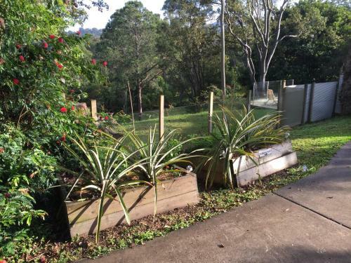 Eumundi Guesthouse And B&B
