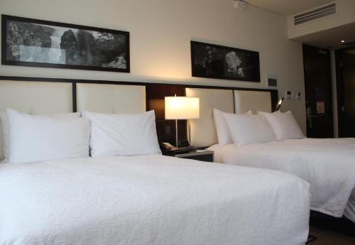 Hotel Hampton By Hilton Santa Cruz