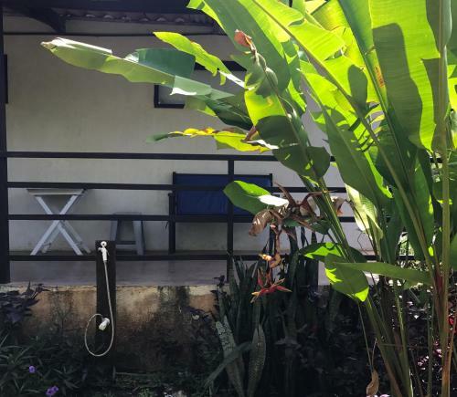 Hostal Flats Baia Dos Porcos