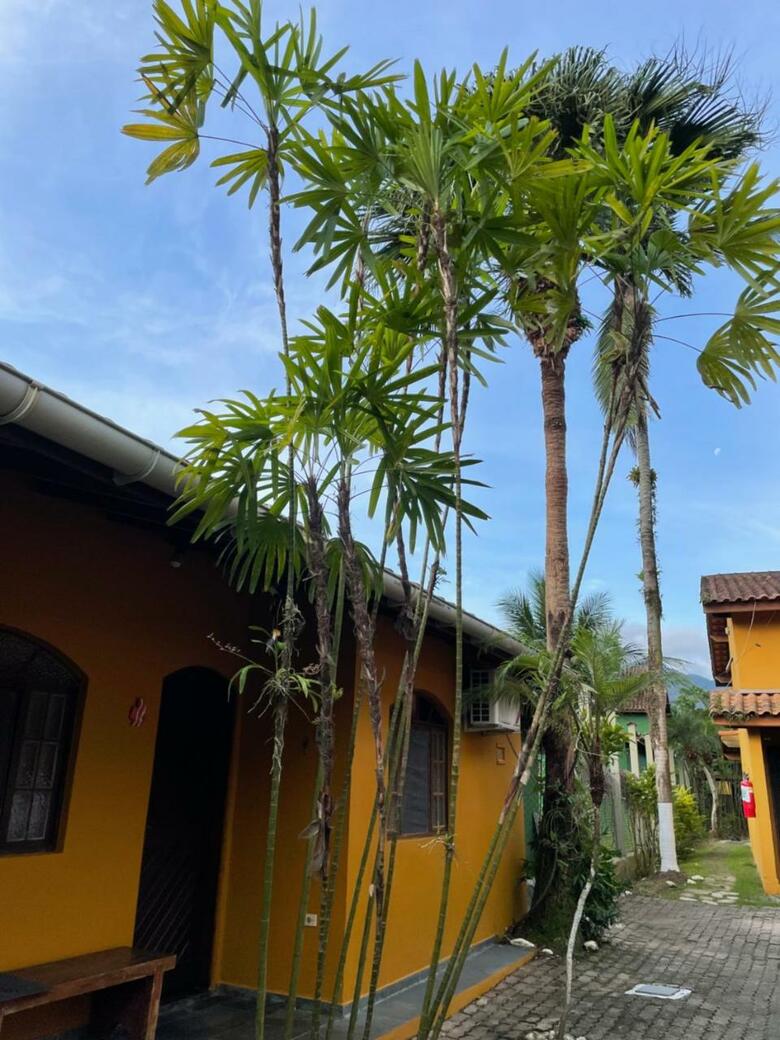 Chal�s �gua De Coco