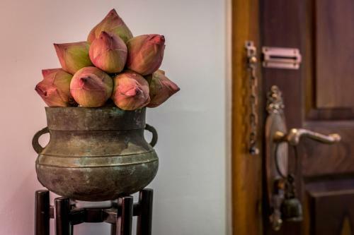 Villa Vmansion Boutique Hotel