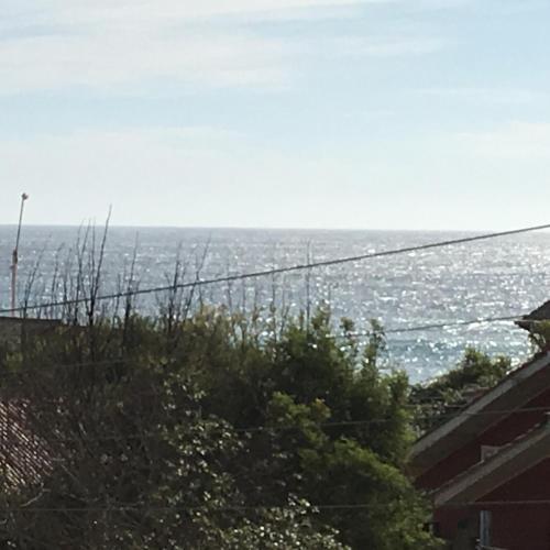 Caba�as En Algarrobo Norte