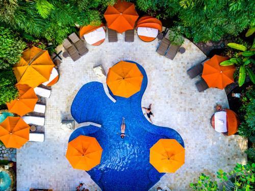 Nayara Hotel Spa And Gardens
