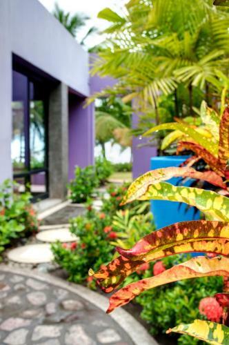 Alma Del Pacifico Hotel & Spa