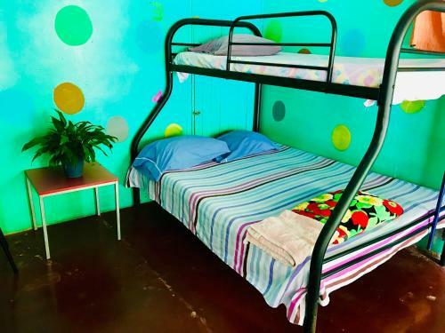 Hostal Hostel Casa Chirripo
