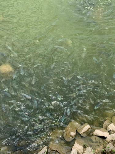 Lodge Chal� Cai�ara