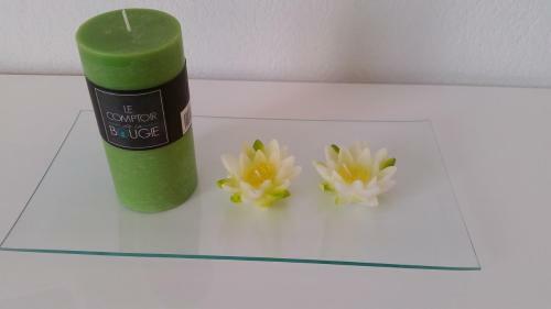 Apartamento Studio La Grave - Saint-cyprien