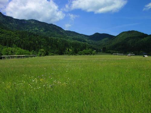 Holiday Home Apartment Zupancic 2