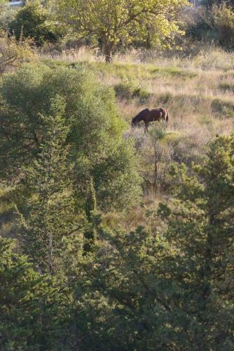 Apartamento Myrtos Cottages Kefalonia