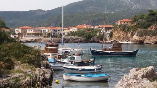 Kripia Holiday Villas