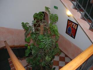 Hotel Bogart 2