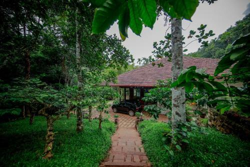 Hotel Bamboo Creek Resort