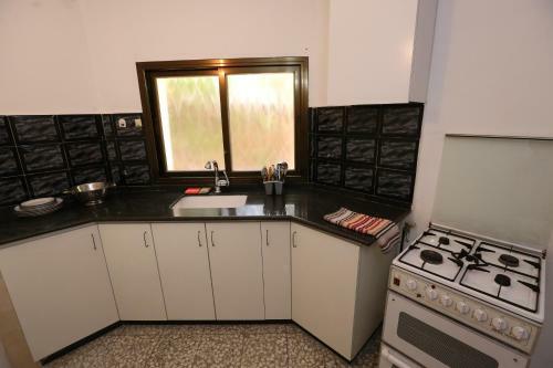 Hostal Lesanel - Guest House