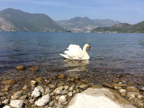 Bed & Breakfast Costa Paradiso