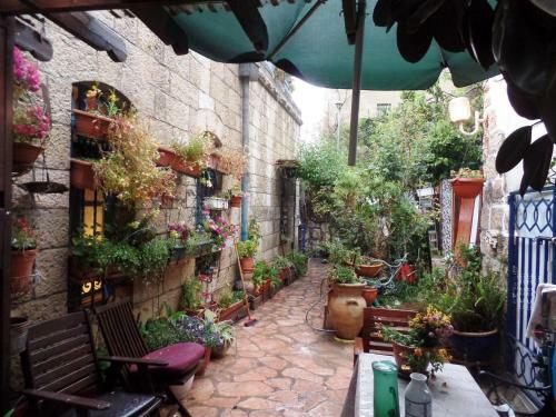 Cozy Garden