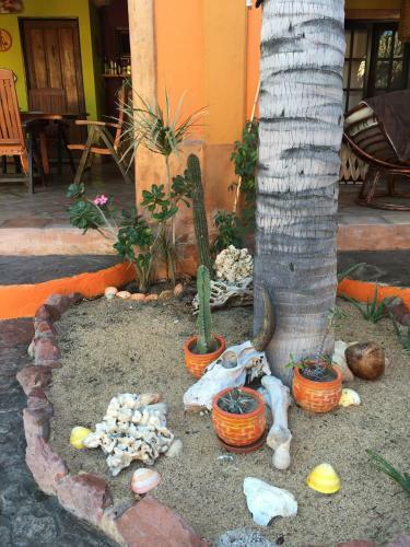 Hostal Leo's Baja Oasis