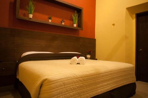 Villa San Antonio de Padua, Hotel Boutique