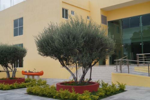 Amazing Celaya Hotel & Suites Business Class