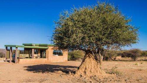 Lodge Okonjima Plains Camp
