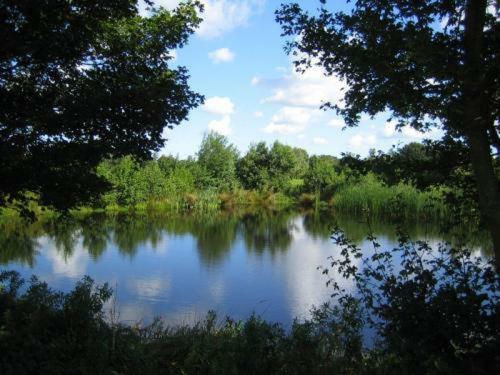 B&B Het Farm-house Natuurpark