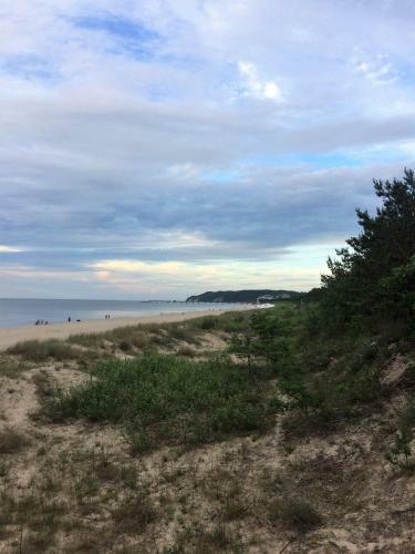 Apartament Gryfa Pomorskiego