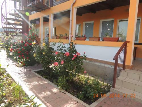Hostal Pensiunea Iulia Sulina
