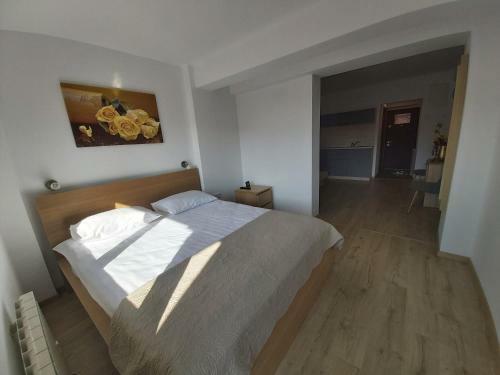 Apartamentos Studio Montana