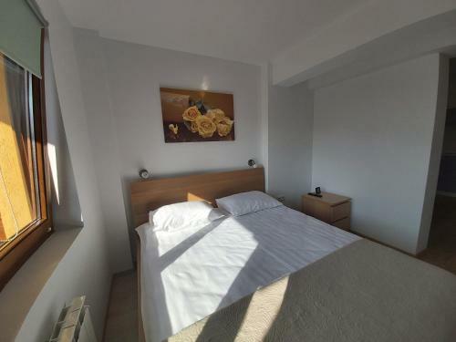 Apartamentos Studio Montana