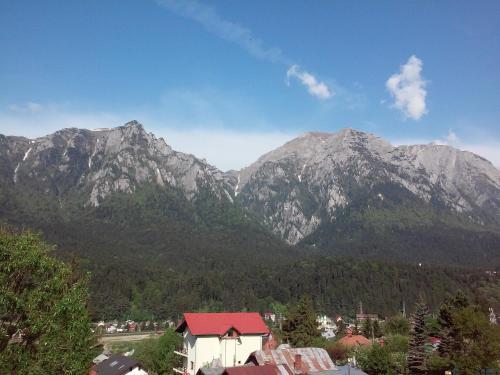 Hostal Pension Edy