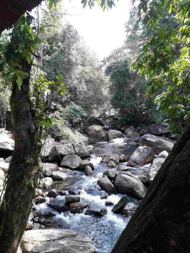 Hotel Girankiththa Eco Resort