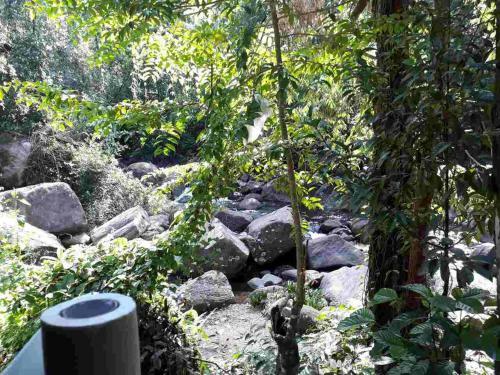 Hotel Girankiththa Eco Resort