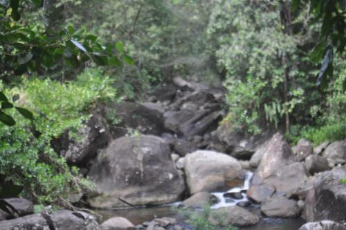 Hotel Girankiththa Eco Resort