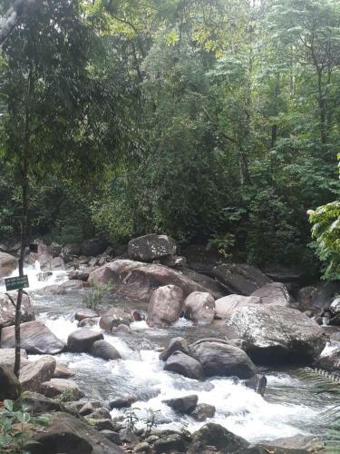 Hotel Girankiththa Eco Resort