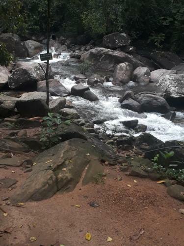 Hotel Girankiththa Eco Resort