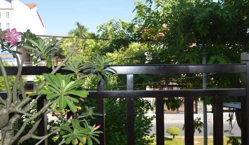 Hoian Succulent Homestay