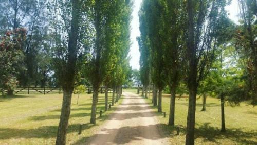Posada Margherita Chacra Hotel