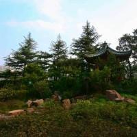 Grand Skylight Gardens Hotel Shanghai