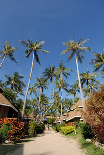 Hotel Koh Tao Coral Grand Resort