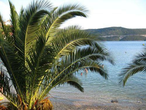 Adriatic Apartment Neum